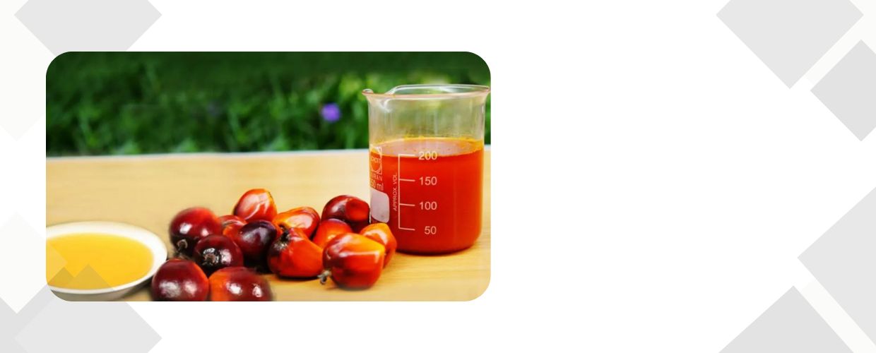 Glycerine and Oleo Chemicals – 2