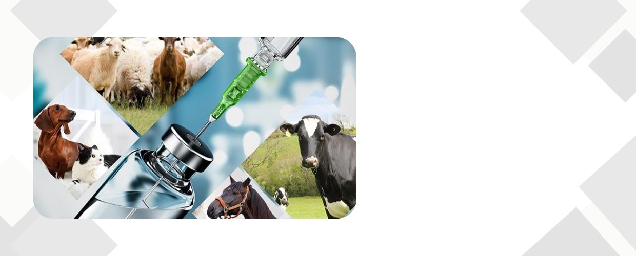 Veterinary Drugs – 2